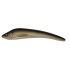 SÉBILE Koolie Minnow ML NMT 90mm - vobler