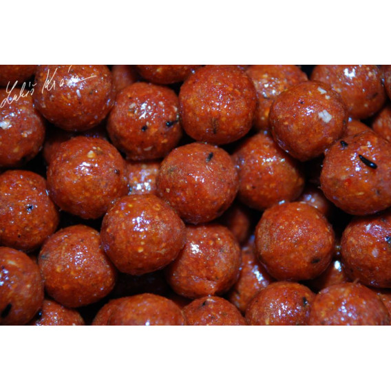 LK BAITS Euro Economic Chilli Squid 5kg 20mm