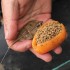 DRENNAN Flat Feeder & Mould Small 25g - method sada